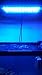 Read Powerful 120w Led Aquarium Light Blue/white Light for Plants, Reef Corals, Fish Details Powerful 120w Led Aquarium Light Blue/white Light for Plants, Reef Corals, Fish