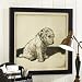 Ballard Designs - The Inconsolable Print