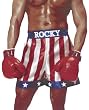 Licensed Rocky Balboa Gloves (Adult)