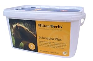 Hilton Herbs Echinacea Plus Herbal Supplement Healthy Immune System for Horses, 1kg Tub