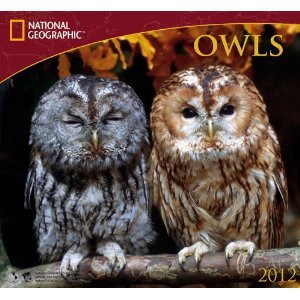 2012 Owls - National Calendar [Calendar]