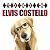 Tribute to ELVIS COSTELLO
