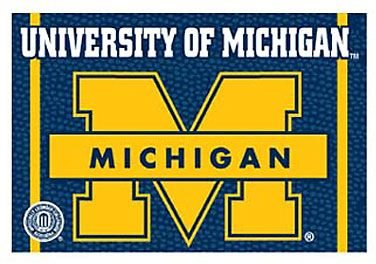Michigan Wolverines NCAA Rect Magnet 2 x 3
