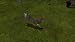 41191hbxgJL. SL75  Cheap  Mathews Bowhunting