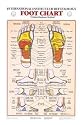 Reflexology Feet Chart - Laminated
