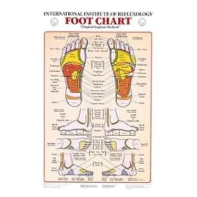 Reflexology Feet Chart - Laminated