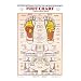 Reflexology Feet Chart - Laminated