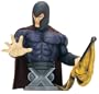 Ultimate Magneto Bust