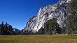 Below El Capitan in Yosemite National Park Photograph - Beautiful 16"x20" Photographic Print by Brendan Reals