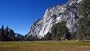 Below El Capitan in Yosemite National Park Photograph - Beautiful 16"x20" Photographic Print by Brendan Reals