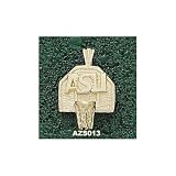 Arizona State Sun Devils Solid 10K Gold ''ASU'' Backboard Pendant