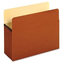 Globe-Weis File Pockets, 5.25-Inch Expansion, Letter Size, Brown, 10 Pockets per Pack (63234GW)