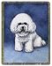 Bichon Frise Throw Blanket