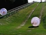 Zorbs People Moving Inside Balls Down a Hill, Rotorua, New Zealand Art Photographic Poster Print by John Banagan, 24x18