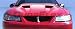 1999-2004 Ford Mustang Mach 1 Hood