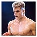 Dolph Lundgren Color Box Canvas Print - Gallery Wrapped - (12x12 Inches)