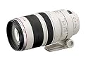 Canon EF 100-400mm f4.5-5.6L IS USM Telephoto Zoom Lens for Canon SLR Cameras