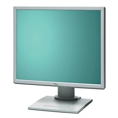 Fujitsu Siemens Scenicview LCD TFT A19-3A 48,3 cm (19 Zoll) TFT Monitor wei� (Kontrast 800:1, 5ms, VGA und DVI) Lautsprecher