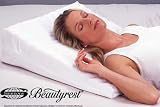Beautyrest Personal Wedge