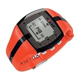 Polar FT4