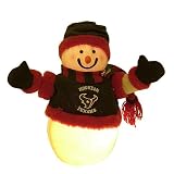 NFL Fiber Optic Snowman Image