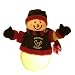 NFL Fiber Optic Snowman