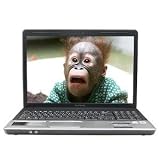 Compaq Presario CQ70-127NR 2.0GHz Dual-Core T3200 3GB 250GB DVDRW WebCam 4500MHD 17 WXGA Vista Home Premium
