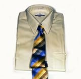 Tall Man's Blended Point Collar Dress Shirt by Enro