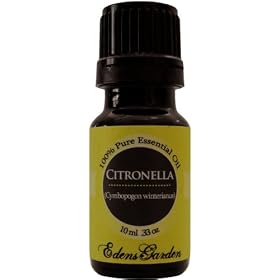 Citronella 100% Pure Essential Oil- 10 ml by Edens Garden