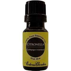 Citronella 100% Pure Essential Oil- 10 ml by Edens Garden