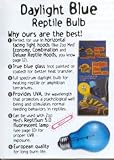 Zoo Med Daylight Blue Reptile Bulb 15 Watt