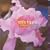 Speaking of Jobim