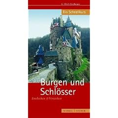 Burgen und Schl�sser: Entdecken und Verstehen - Ein Schnellkurs
