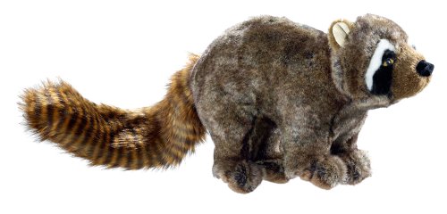 Hundespielzeug Wildlife Raccoon M