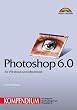 Photoshop 6.0 / Image Ready 3.0 - Kompendium . f�r Windows und Macintosh