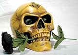 Alchemist Skull Head