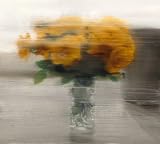 Review Verlag Der Buchhandlung Walther Konig, Cologne, Germany  / Gerhard Richter: The Poster Edition Number 8: 