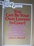 You Can Be Your Own Lawyer in Court: The Citizen's Legal Guide