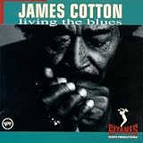 cover of Living the Blues