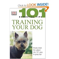 Training Your Dog (101 Essential Tips)