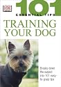 Train Your Dog (101 Essential Tips)