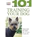 Train Your Dog (101 Essential Tips)