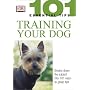 Train Your Dog (101 Essential Tips)