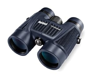 Bushnell H20 Roof Prism - Prismáticos (10x, 42 mm)