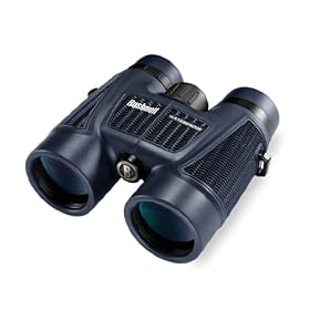 Bushnell H2O Waterproof/Fogproof Roof Prism Binocular, 10 x 42-mm, Black: Sports &amp; Outdoors