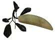 Chinese jade banana - hand carved