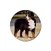 Bernese Mountain Dog Rubber Round Coaster (4 pack)
