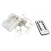 LUMAND 20 LED Globe String Lights Warm White Color [Remote & Timer] Battery Operated on 6.56ft/2m Ball Fairy Lights for Garden Party Tree