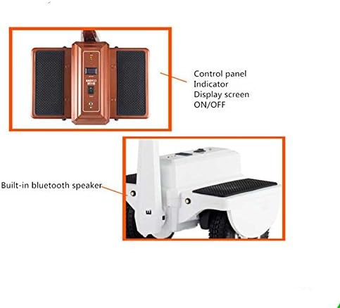 Muzeli Two Wheel Brushless Motor Self Balance Electric Scooter Personal Transporter with Silicon Battery Black