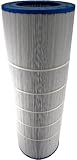 Filbur FC-0688 Antimicrobial Replacement Filter Cartridge for Predator/Clean and Clear 200 Pool and Spa Filter